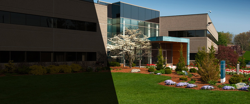 Pierz Landscapers