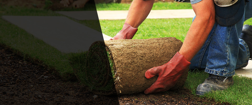 Pierz Landscapers
